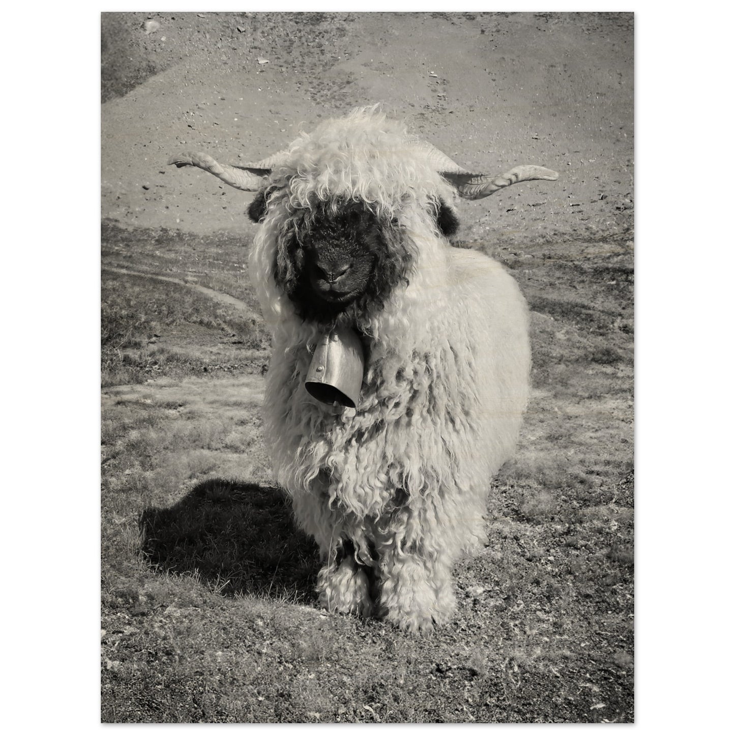 a8235025-0bb3-46b1-bcce-6e54a8ac4dde