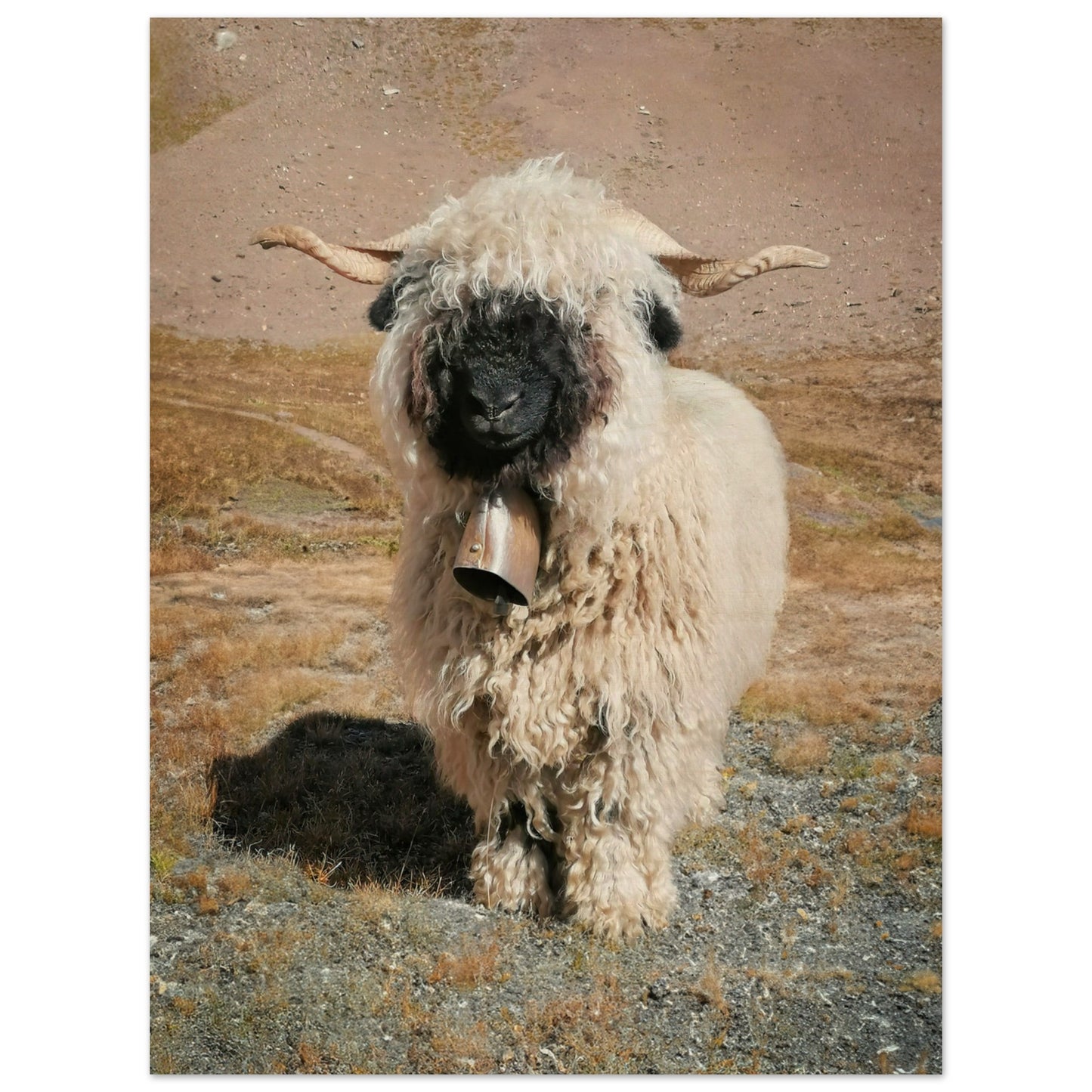 f904dfef-0129-4544-8c62-dc49408ea7ae